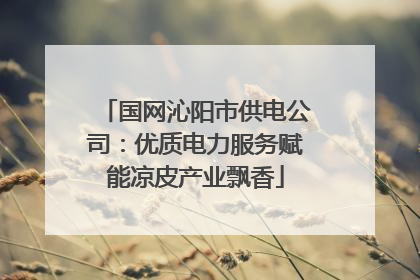 国网沁阳市供电公司：优质电力服务赋能凉皮产业飘香