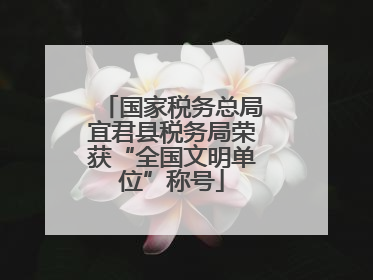国家税务总局宜君县税务局荣获“全国文明单位”称号