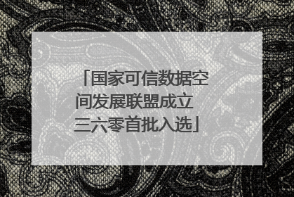 国家可信数据空间发展联盟成立 三六零首批入选