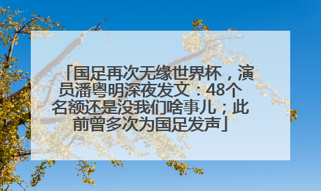 国足再次无缘世界杯，演员潘粤明深夜发文：48个名额还是没我们啥事儿；此前曾多次为国足发声