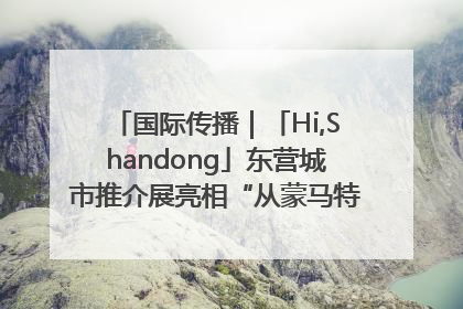国际传播｜「Hi,Shandong」东营城市推介展亮相“从蒙马特到加里波第”文化节