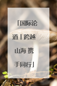 国际论道丨跨越山海 携手同行