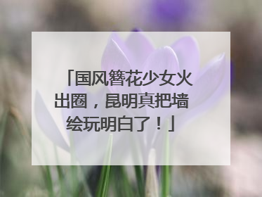 国风簪花少女火出圈，昆明真把墙绘玩明白了！
