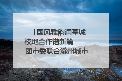 国风雅韵润亭城 校地合作谱新篇——团市委联合滁州城市职业学院助力传统文化“破圈”绽放