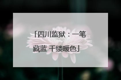 四川监狱：一笔藏蓝 千缕暖色