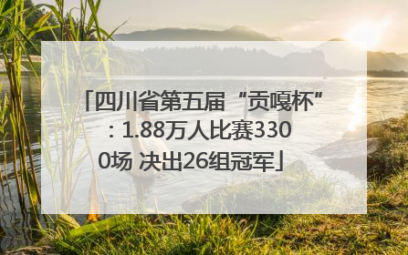 四川省第五届“贡嘎杯”：1.88万人比赛3300场 决出26组冠军