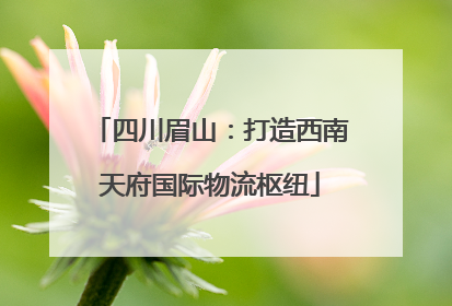 四川眉山：打造西南天府国际物流枢纽