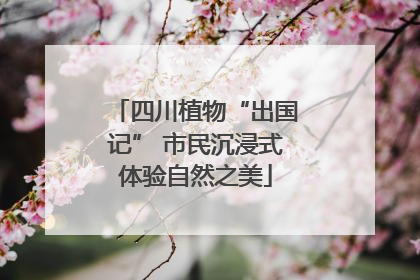 四川植物“出国记” 市民沉浸式体验自然之美