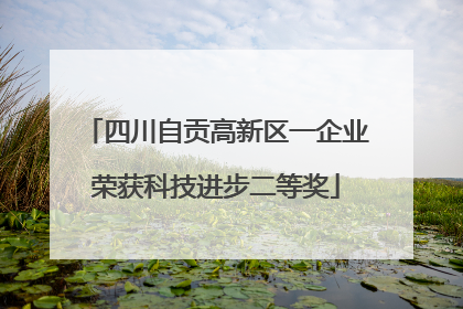 四川自贡高新区一企业荣获科技进步二等奖