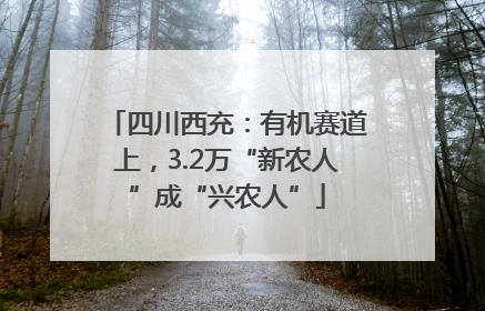 四川西充：有机赛道上，3.2万“新农人”成“兴农人”