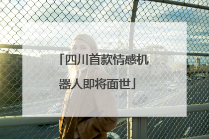 四川首款情感机器人即将面世