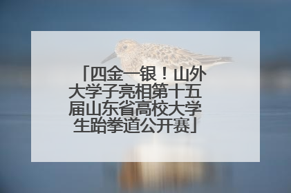 四金一银！山外大学子亮相第十五届山东省高校大学生跆拳道公开赛