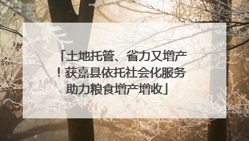 土地托管、省力又增产！获嘉县依托社会化服务助力粮食增产增收
