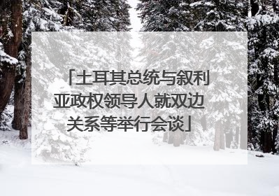 土耳其总统与叙利亚政权领导人就双边关系等举行会谈