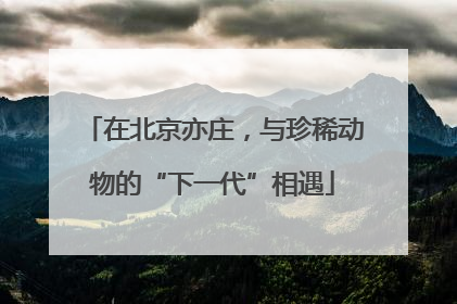 在北京亦庄，与珍稀动物的“下一代”相遇