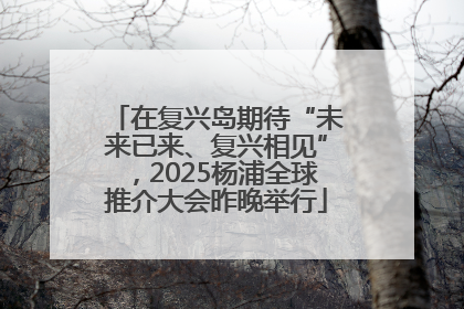 在复兴岛期待“未来已来、复兴相见”，2025杨浦全球推介大会昨晚举行