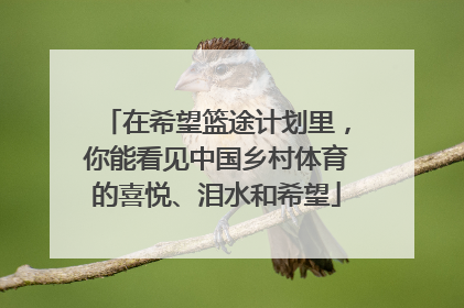 在希望篮途计划里，你能看见中国乡村体育的喜悦、泪水和希望