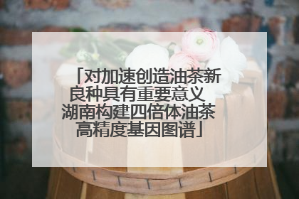 对加速创造油茶新良种具有重要意义 湖南构建四倍体油茶高精度基因图谱