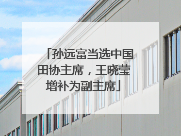 孙远富当选中国田协主席，王晓莹增补为副主席