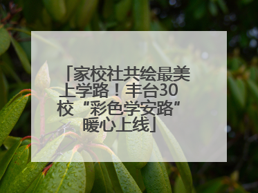 家校社共绘最美上学路！丰台30校“彩色学安路”暖心上线