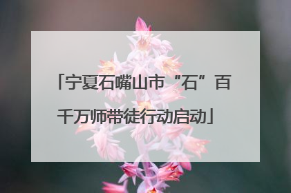 宁夏石嘴山市“石”百千万师带徒行动启动