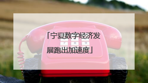 宁夏数字经济发展跑出加速度