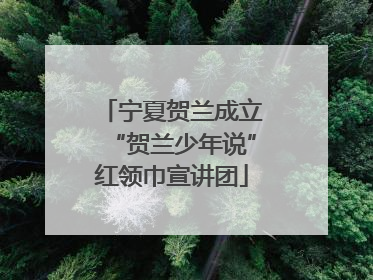 宁夏贺兰成立“贺兰少年说”红领巾宣讲团