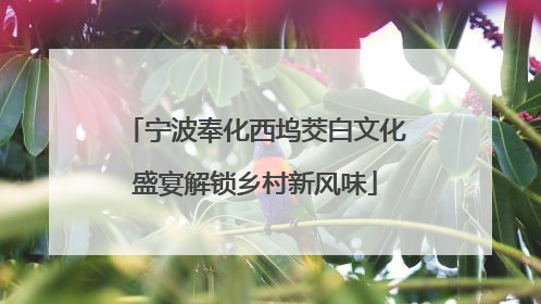 宁波奉化西坞茭白文化盛宴解锁乡村新风味