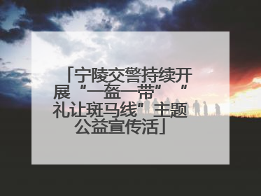 宁陵交警持续开展“一盔一带”“礼让斑马线”主题公益宣传活