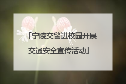 宁陵交警进校园开展交通安全宣传活动