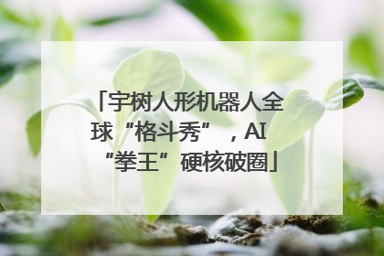 宇树人形机器人全球“格斗秀”，AI“拳王”硬核破圈