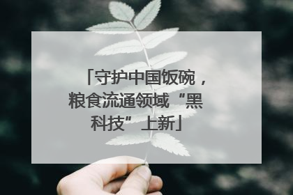 守护中国饭碗，粮食流通领域“黑科技”上新
