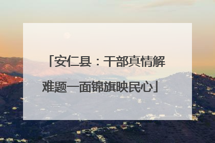 安仁县：干部真情解难题一面锦旗映民心
