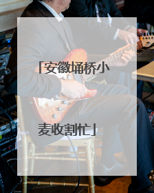 安徽埇桥小麦收割忙