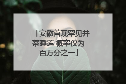 安徽首现罕见并蒂睡莲 概率仅为百万分之一