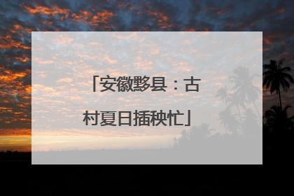 安徽黟县：古村夏日插秧忙