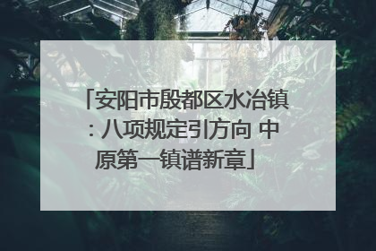 安阳市殷都区水冶镇：八项规定引方向 中原第一镇谱新章