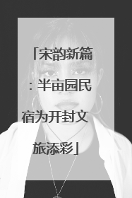 宋韵新篇：半亩园民宿为开封文旅添彩