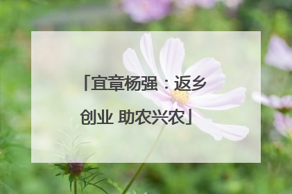 宜章杨强：返乡创业 助农兴农