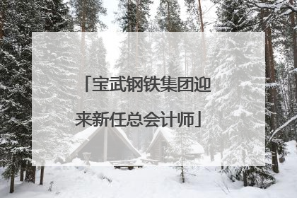 宝武钢铁集团迎来新任总会计师