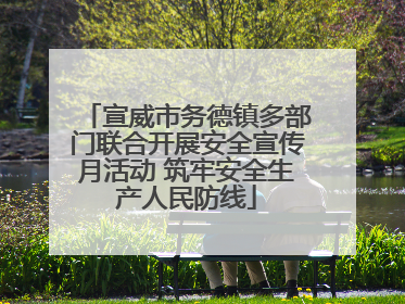 宣威市务德镇多部门联合开展安全宣传月活动 筑牢安全生产人民防线