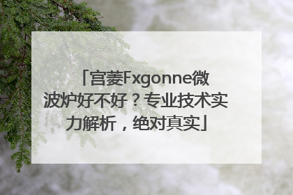宫菱Fxgonne微波炉好不好？专业技术实力解析，绝对真实