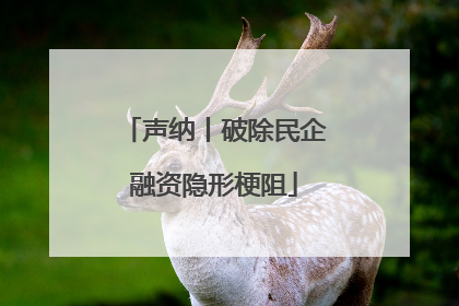 声纳丨破除民企融资隐形梗阻