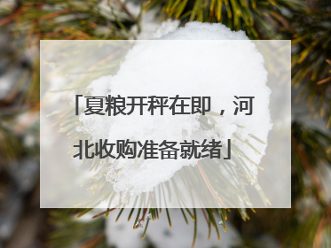 夏粮开秤在即，河北收购准备就绪