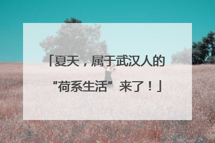 夏天，属于武汉人的“荷系生活”来了！