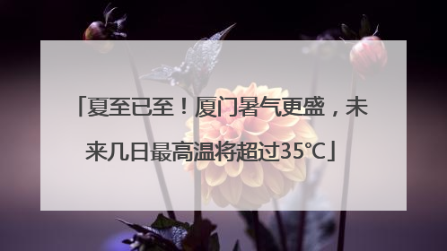 夏至已至！厦门暑气更盛，未来几日最高温将超过35℃