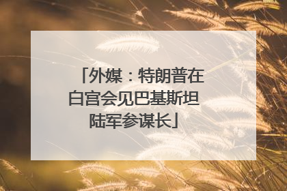 外媒：特朗普在白宫会见巴基斯坦陆军参谋长