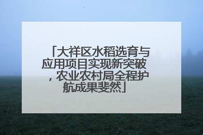 大祥区水稻选育与应用项目实现新突破，农业农村局全程护航成果斐然