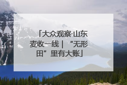 大众观察·山东麦收一线｜“无形田”里有大账