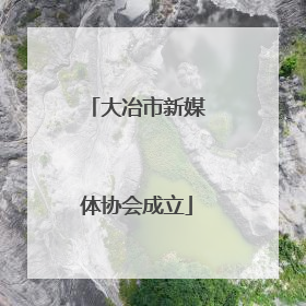 大冶市新媒体协会成立